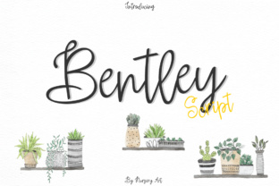 Bentley: A Handwritten Brush Script for Modern Web Design