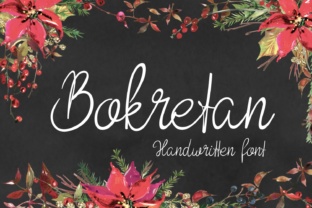 Bokretan: A Designer's Honest Review for Real-World Branding