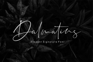 Dalmatins: The Elegant Signature Font for Modern Branding