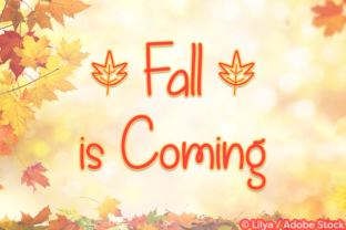 Fall is Coming: A Designer's Real-World Review