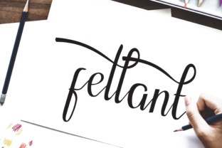 Fellant: A Relaxed Script Font for Modern Brand Identity
