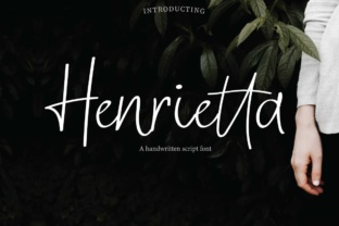 Henrietta: The Premium Script Font for Polished Brand Identity