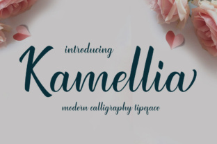 Kamellia: The Modern Script Font for Polished Brand Identity