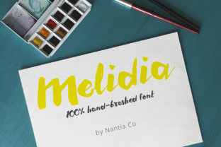 Melidia Font Review: A Bold Hand Brushed Typeface for Modern Brands
